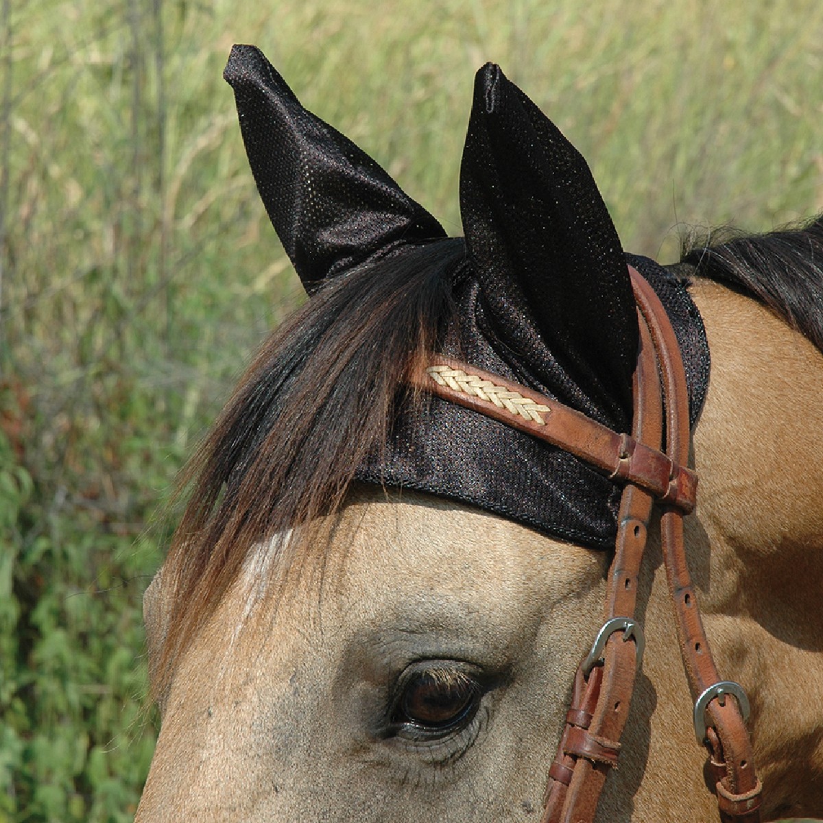 Cashel Comfort Ears