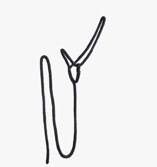 Lead Rope Halfter Rainbow