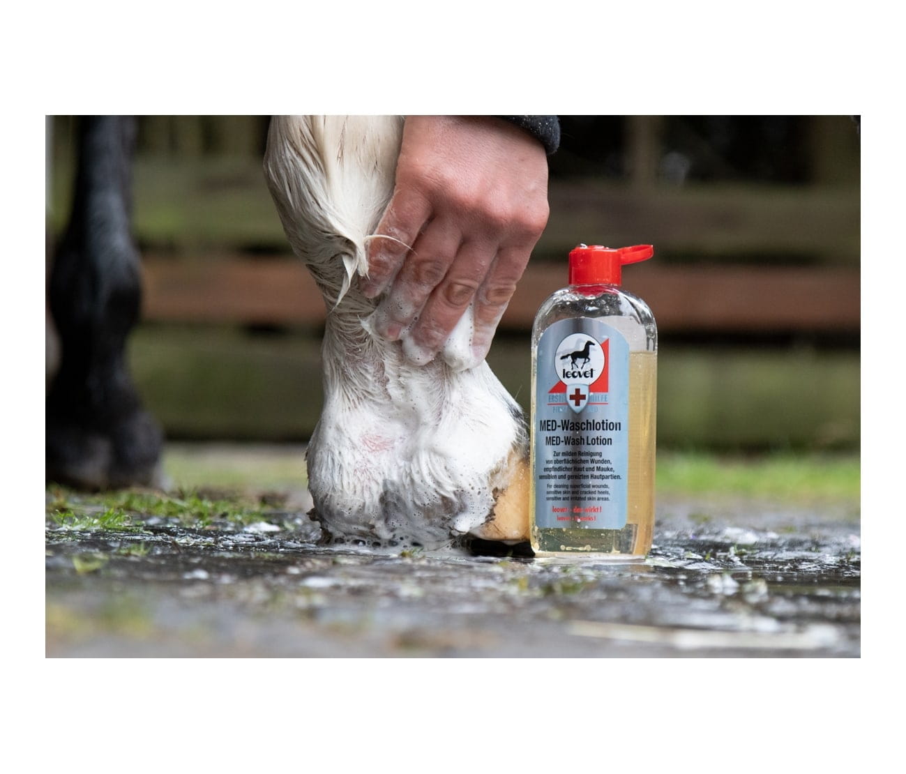 Leovet Erste Hilfe Med Waschlotion 250ml