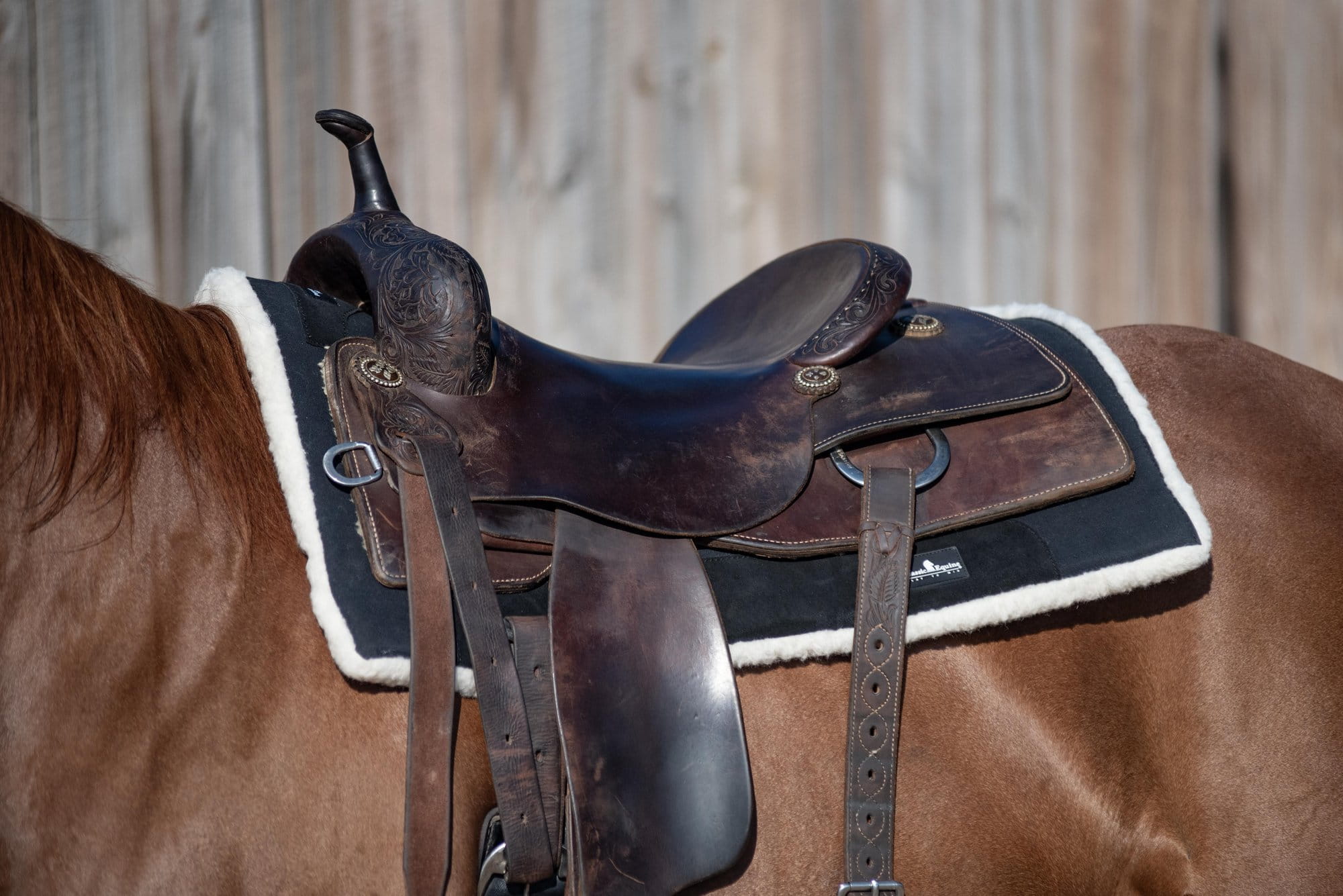 Classic Equine Performance Trainer Woll-Pad