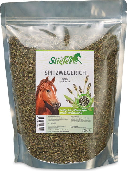 Stiefel Spitzwegerich, geschnitten 500g