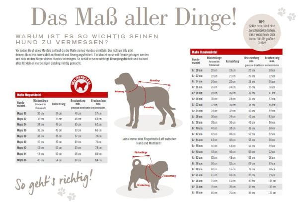 Wolters Geschirr Professional Comfort