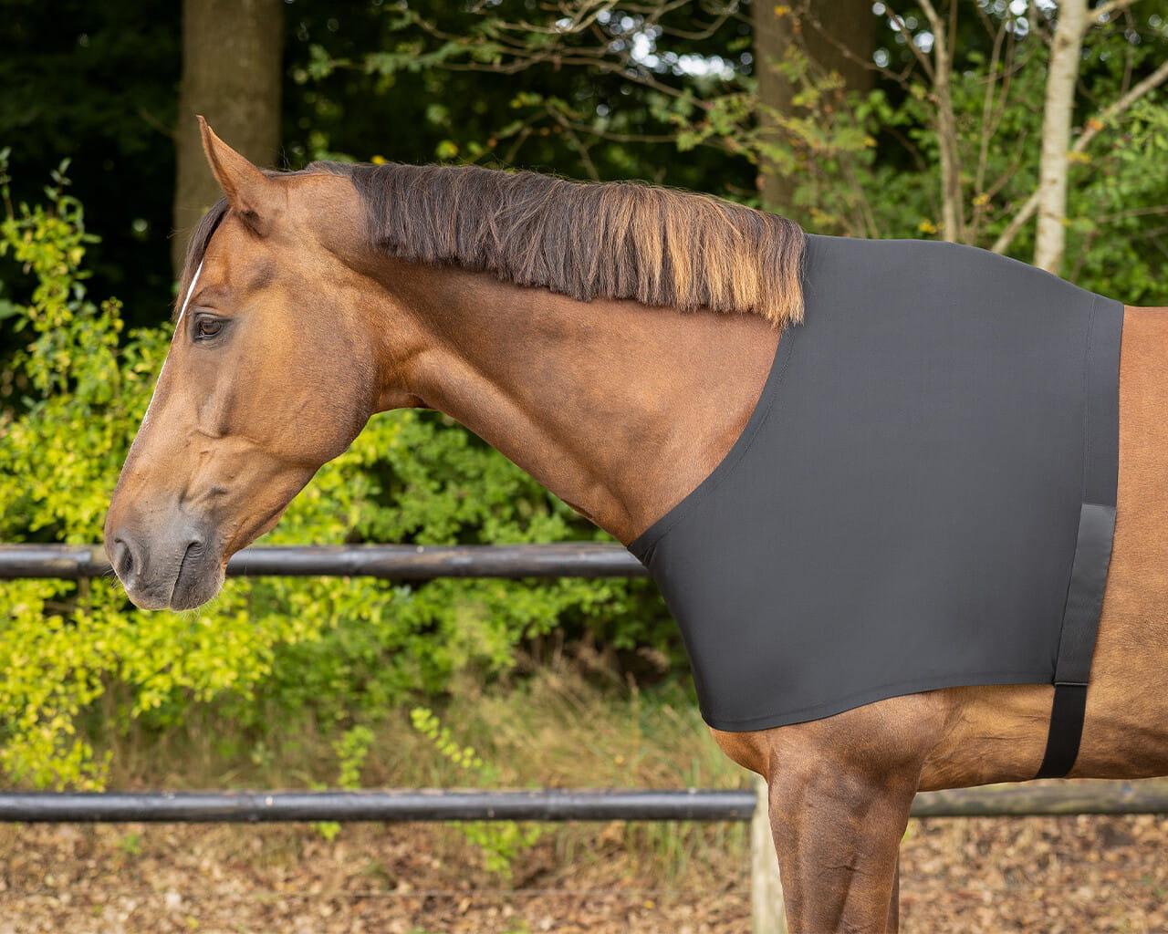 Sleazy Stretch Rug Basic Brustschutz Schulterschutz