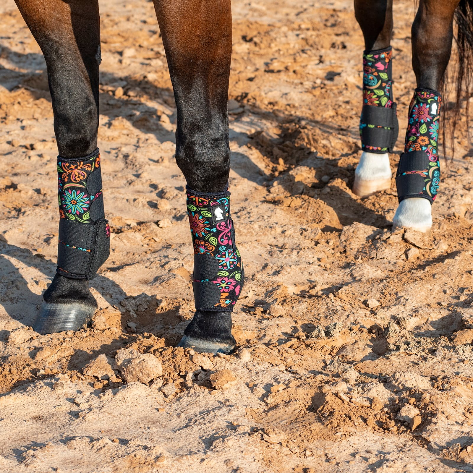     Legacy2 Support Boots, Front and Hind