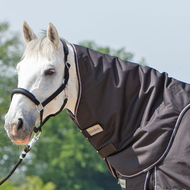 Halsteil für Outdoordecke Alaska IV 100g