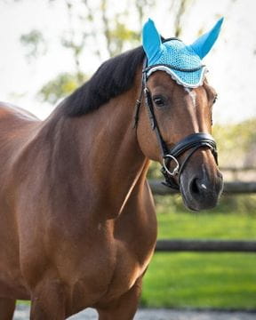 Fliegenfransen & Fliegenhauben