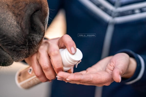 Bense & Eicke BremsenSchock Gel 200 ml