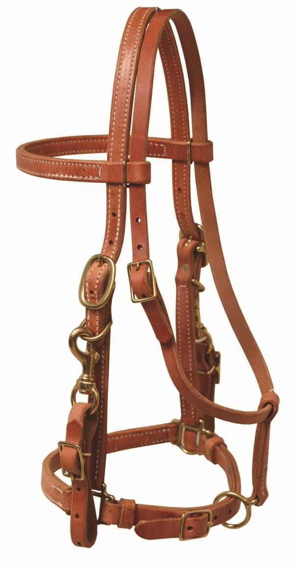 Ultimate Cowboy Gear Leder Halter Bridle