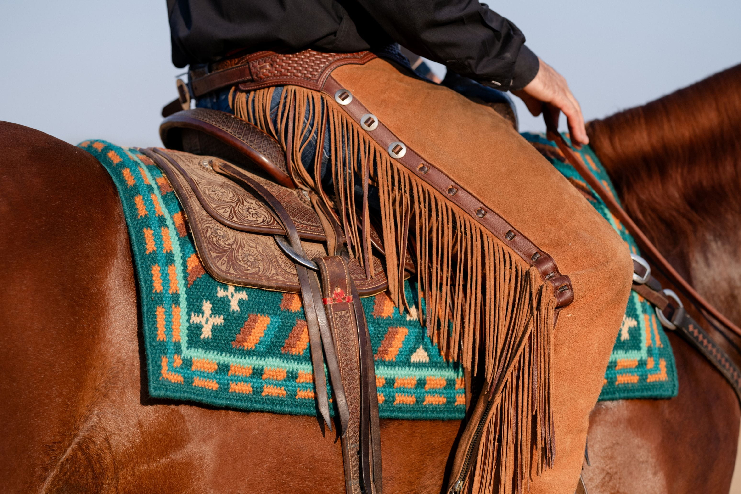 ProfChoice Show Blanket 2 Emerald