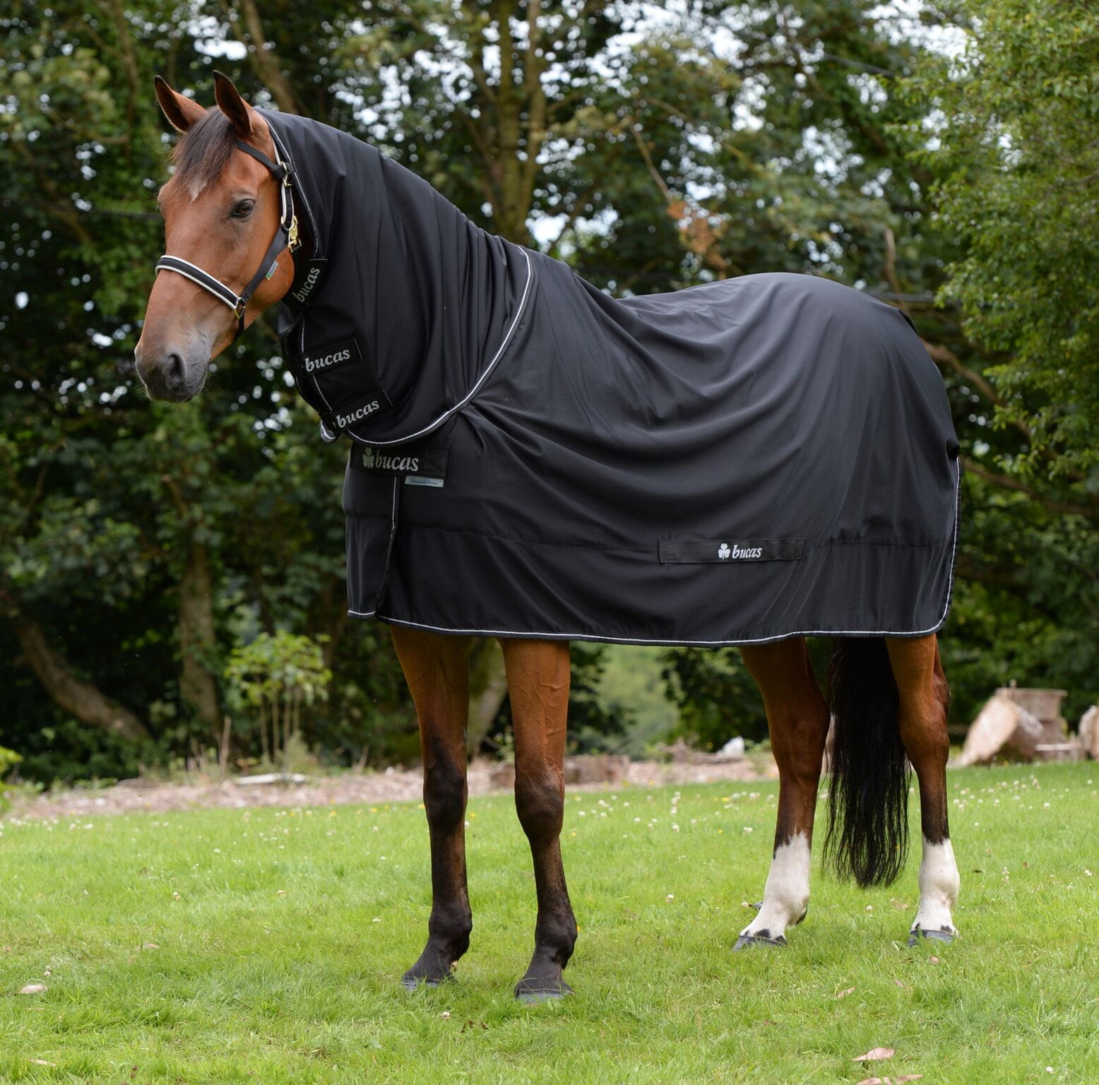 Bucas Power Cooler Full Neck black
