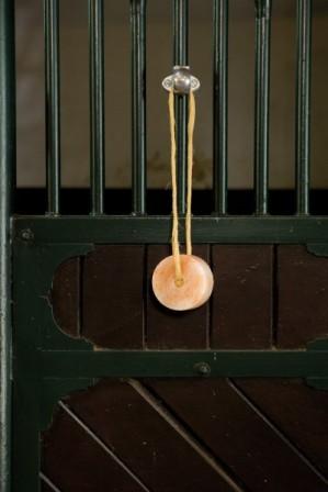 Spezialhalter -vielseitig einsetzbar- auch an Boxenstangen