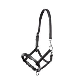 Showhalfter & Führketten