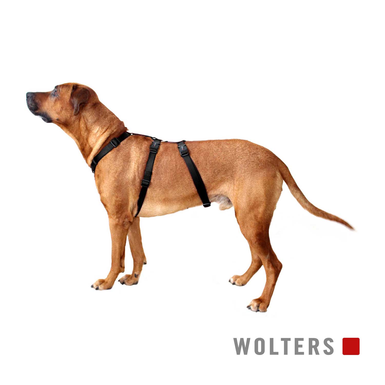 Geschirr Professional No Escape