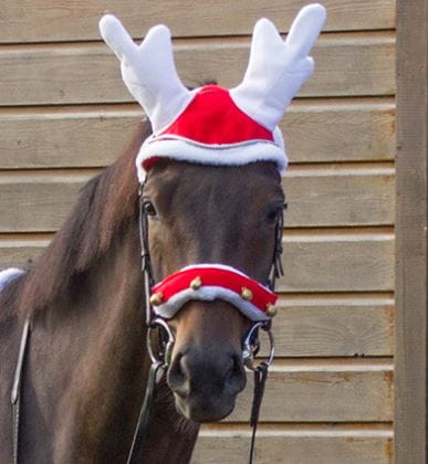 Christmas Rentier Ohrenhaube