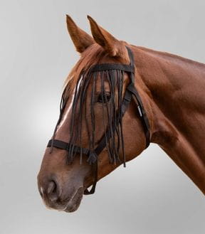 Weidehalfter & Fressbremsen