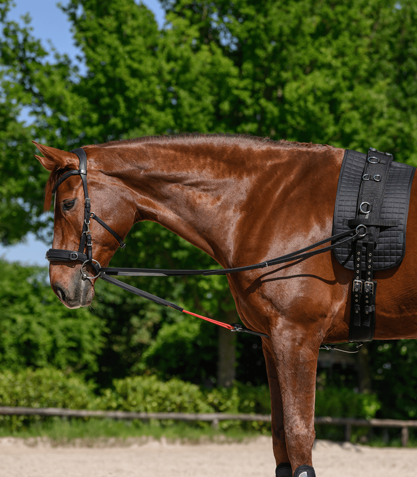 Longiergurt-Unterlage