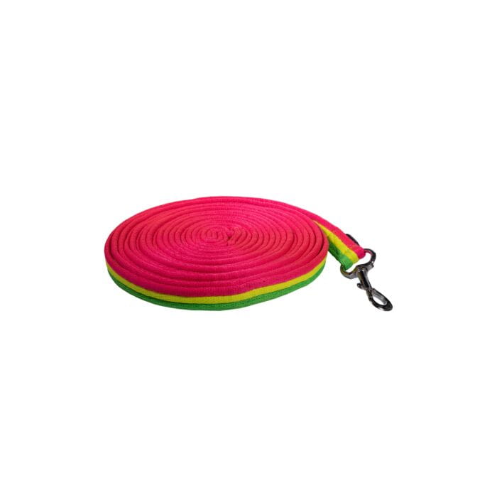 Longe Rainbow