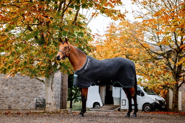 Horseware Autumn Cooler Abschwitzdecke