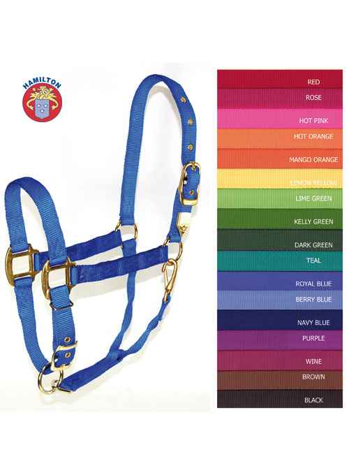 Hamilton Halfter Arabien - Breite 1,9 cm