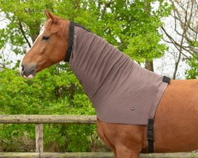 Ekzemerdecken & Halsteile