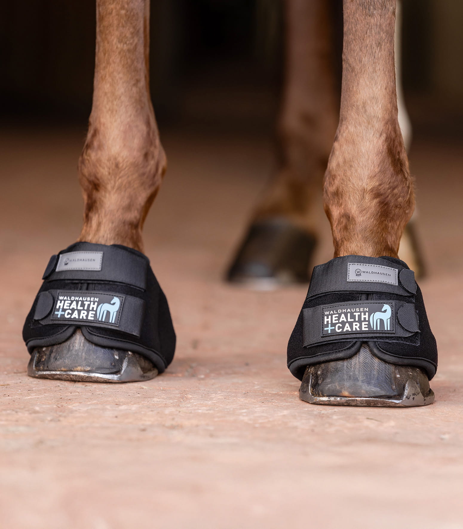 Waldhausen Health + Care Kühlhufglocken