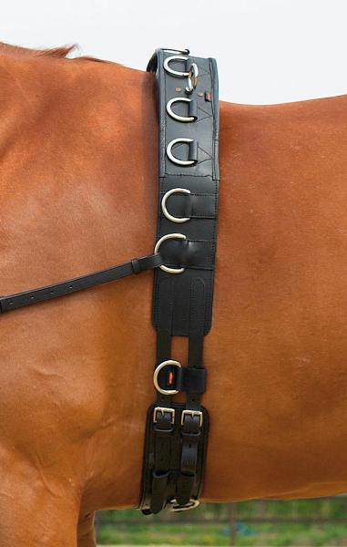 Longiergurt Professional