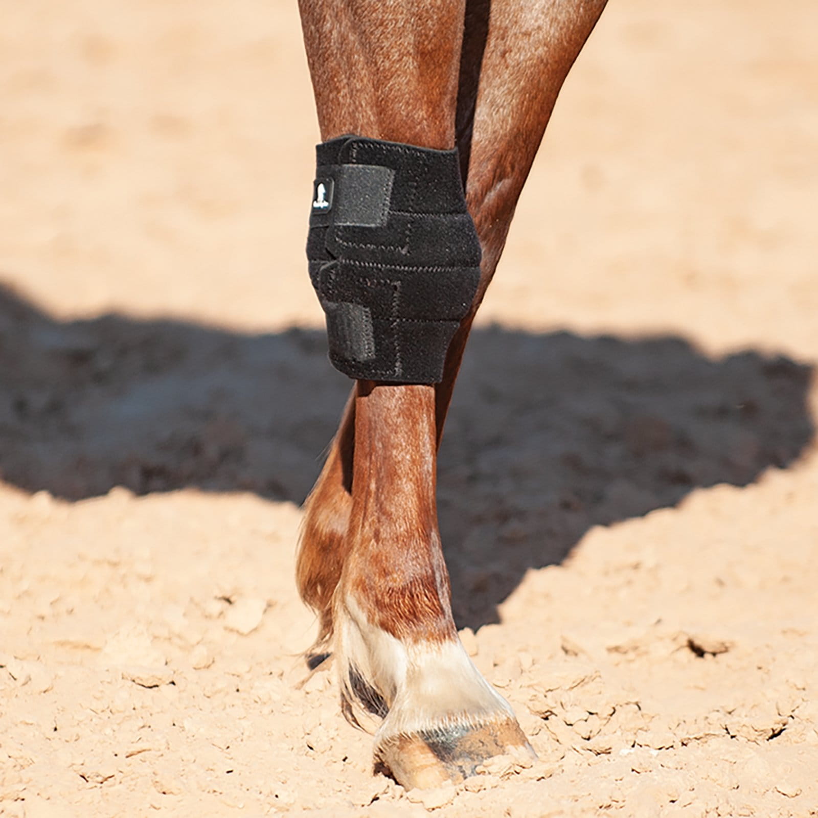 Classic Equine Knee Boot