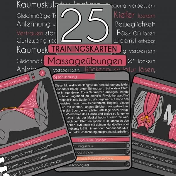 25 Trainingskarten Set Massageübungen