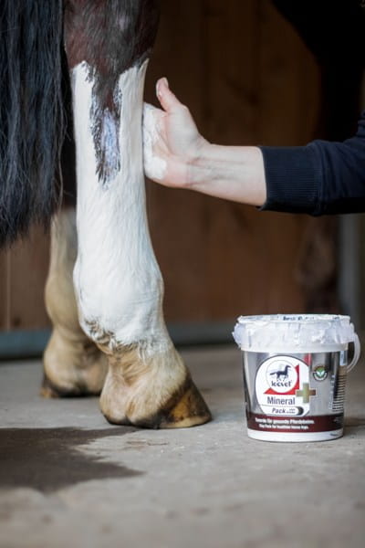 Leovet Mineralpack plus Arnika 1,5kg