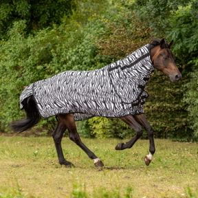 Fliegen & Ekzemerdecken