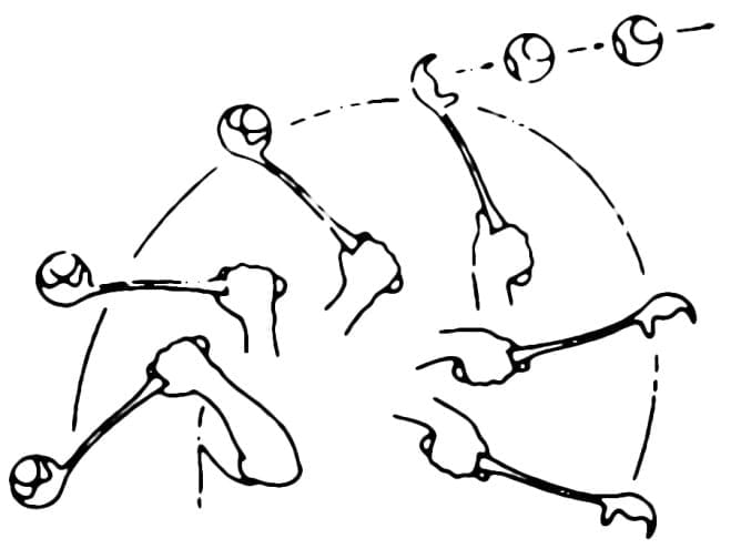 Weitwurfstab Maxi Speed Ballschleuder