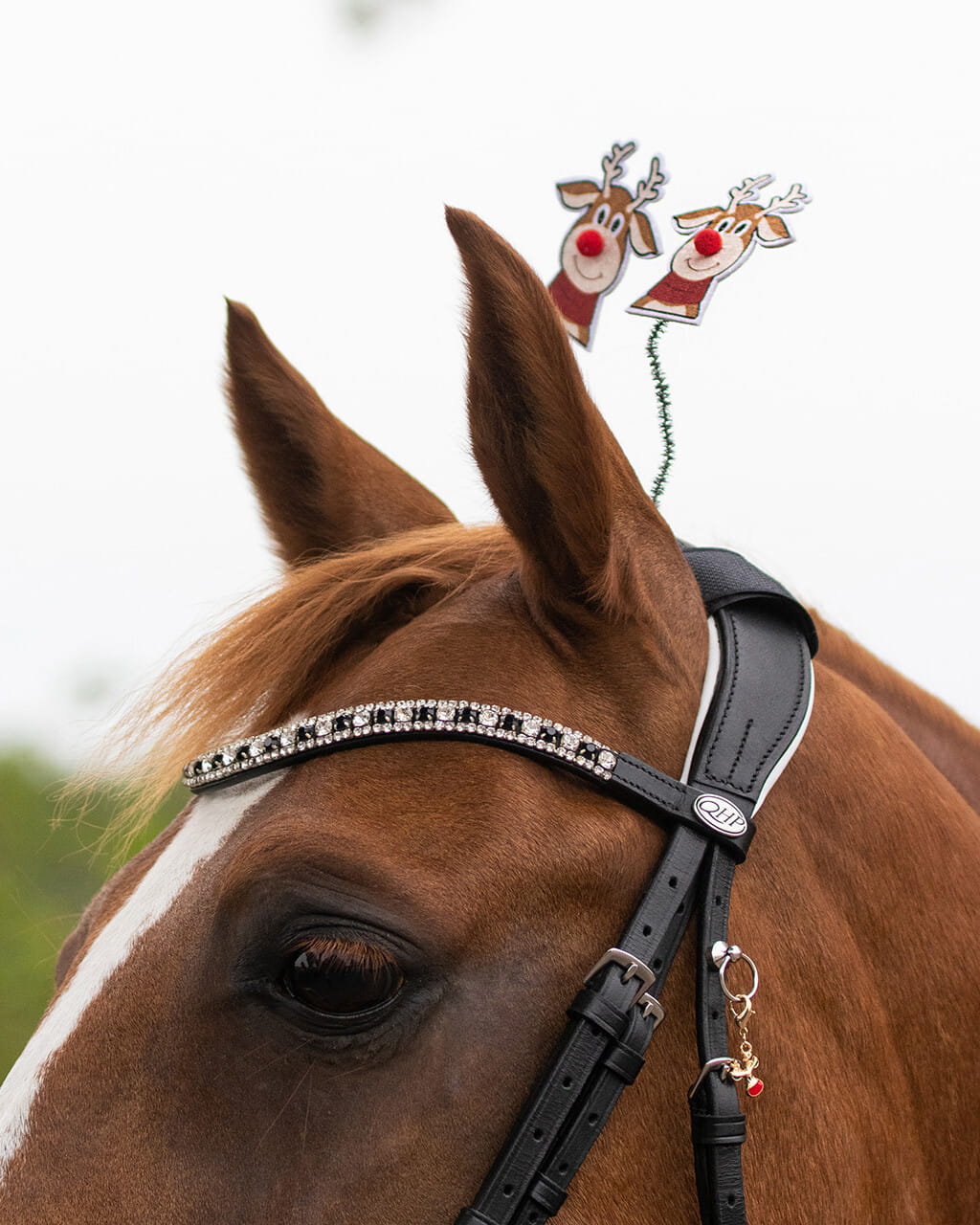 Genickschmuck Weihnachten – Brands of Q | Profi-Tack